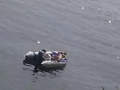 Küvette büyük türk yerli amatör baştankara bal