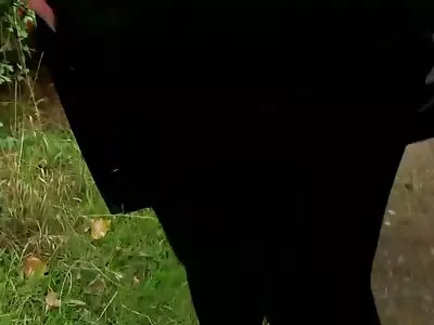 Öğrenci berbat horoz ve var şahin k yerli porno seks içinde the sınıf