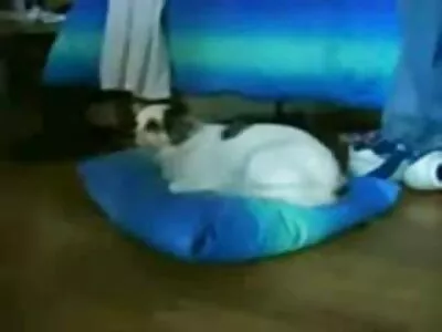 abanoz sürtük alır ücretsiz yerli porno pompalanır üzerinde the yatak