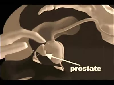 Kız kahve masasına bağlı yapay penis sikikleri yerlitürkporno