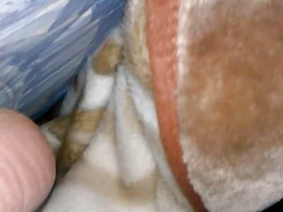cutie alır yol anal yerli amatör çekim
